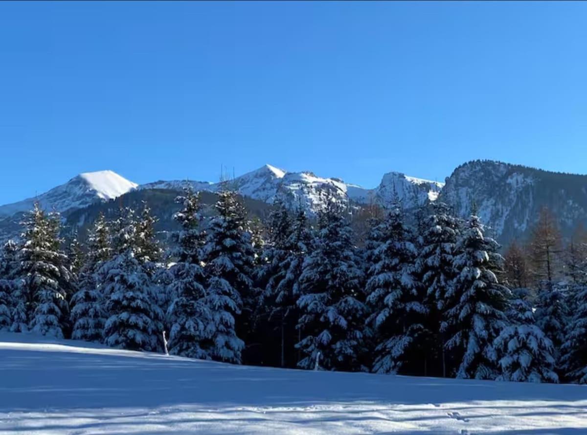 Unterkunft Mit Alpenblick Aeschi Bei Spiez Buitenkant foto